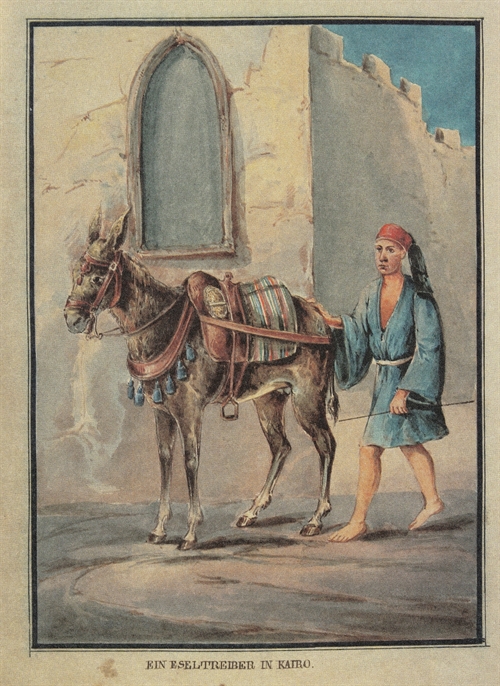 Egyptian felah with a donkey